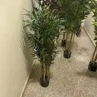 تحف وفازات وزرع