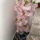 للبيع ورد تناسب المداخل عند الباب السعر على السوم