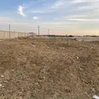 سماد اغنام صافي ومخمر من سنه مجانا  بدون مقابل