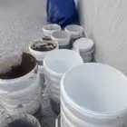 سطول بويا للبيع