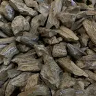 عود كلمنتان طبيعي