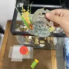حوض سمك مع لك الملحقات