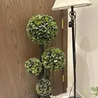 ابجورة و زرعه