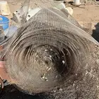 شبوك حمام معالف