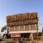 تبن بر صافي