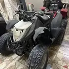 دباب