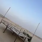 الاحساء مزارع خط قطر