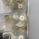 ثلاث مرواح للبيع