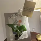 هدية ب45 ريال