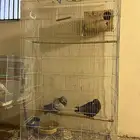 أغراض