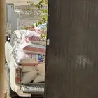 تمر علف
