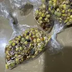 منقوع للطيور