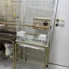 أقفاص كبيره شبه جديده للبيع