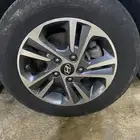 جنوط الانترا