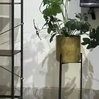 مراكن مع شجر