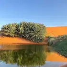 هوائية للبيع ساكتو ..