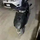 دباب نظيف شرط مع أوراقه