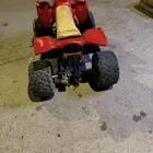 دباب تايواني