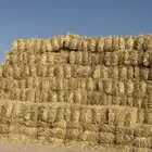 تبن بر