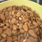 لباب لوز الباحة البلدي