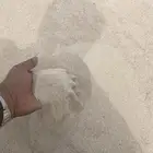 بطحاء الرياض للياسه جوده عاليه