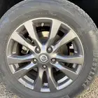 جنوط التيما