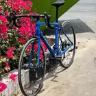 Trek domane Al 2