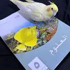 كروان للبيع