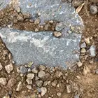 موقع اسطبل خيل الايجار