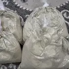 دخن بيضان عضوي شرط