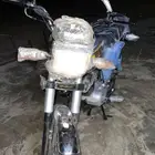 دباب سزوكي