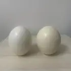 بيض نعام