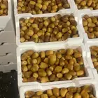 بيع الروثانه بالجملة مع التوصيل لمناطق المملكة