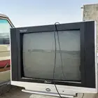 تلفزيون