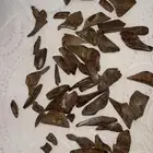 عود بخور موروكي محسن الهفوف