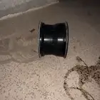 جنوط جيتي للبيع