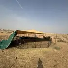 ضلاله حلال