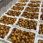 تمر روثانه من مزرعتنا