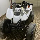 دباب