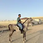 عز ولد سفير المشعليه واهو مواليد 2022