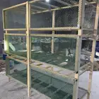 محاكر طيور