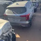 هافا