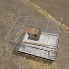 شبك طيور شبه جديد مع البياضه للبيع