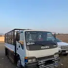 دينا ايسوزو