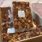 تمر سكري فاخر مكنوز