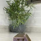 مساطر
