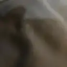 مطلوب دباب عجيب سزوكي