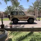 ربع 2013 بريمي