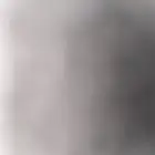 الي عنده بادجي ا و زيبره يتواصل معي الموقع الدوادمي