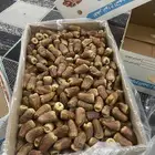 برني العيص - رقم1 فاخر من الاخر - كراتين 18 كيلو -